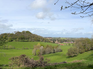 view